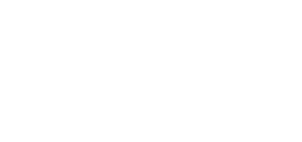 The Day Undefined logo in white